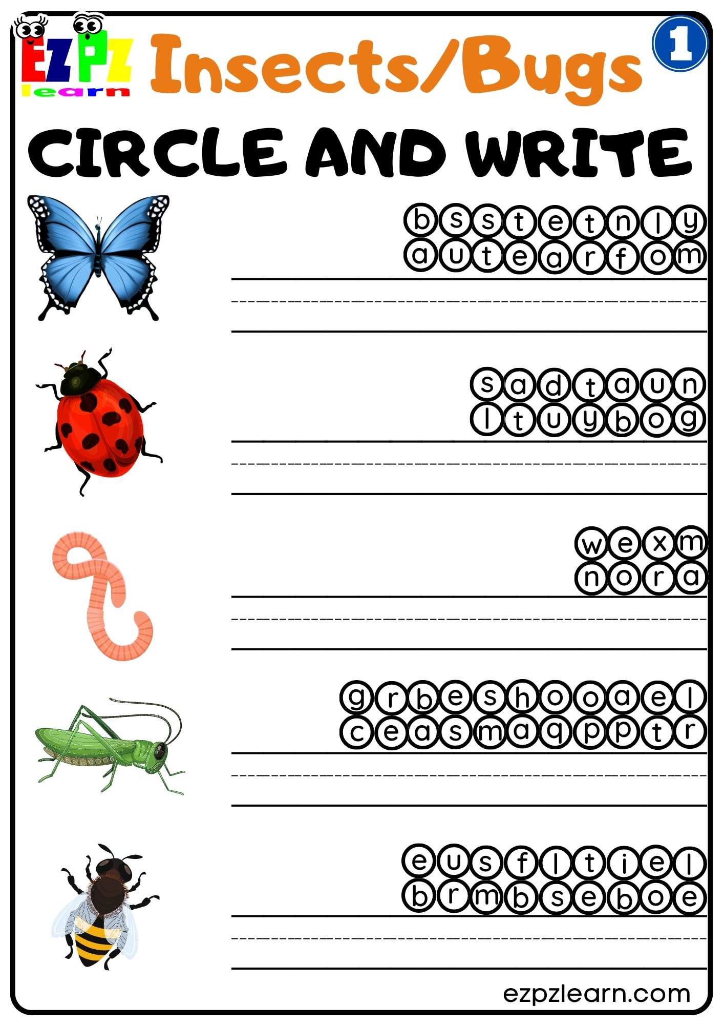 Group 1 Insects and Bugs Circle and Write Worksheet Free PDF Download For Teachers and Parents